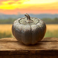 Resin Pumpkin - Grey & Glittery